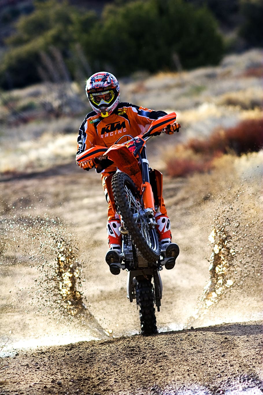 united-states-gorman-wheelie-off-road